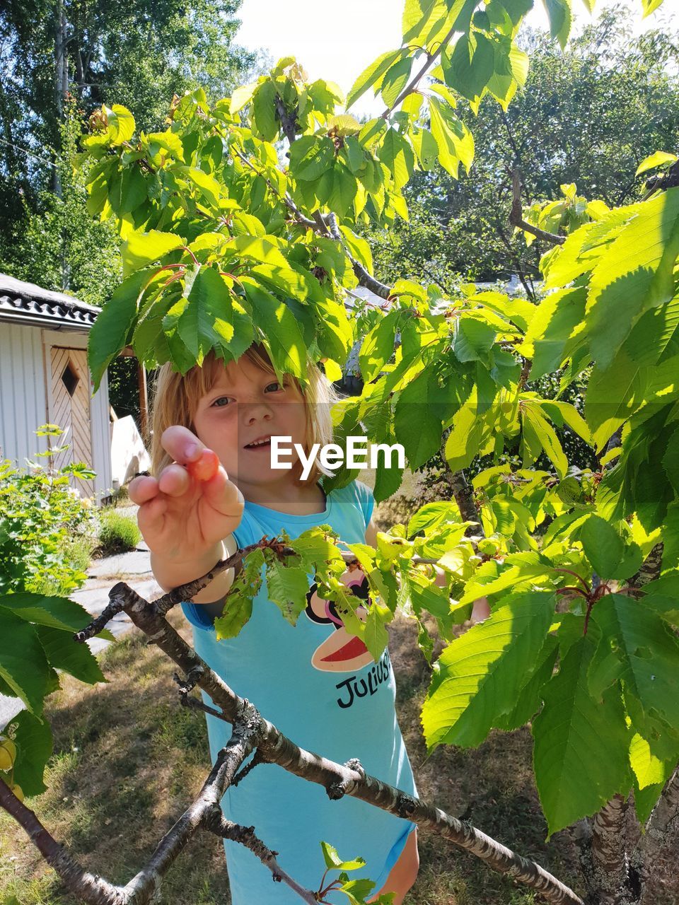 Portrait of girl standing by plants at yard