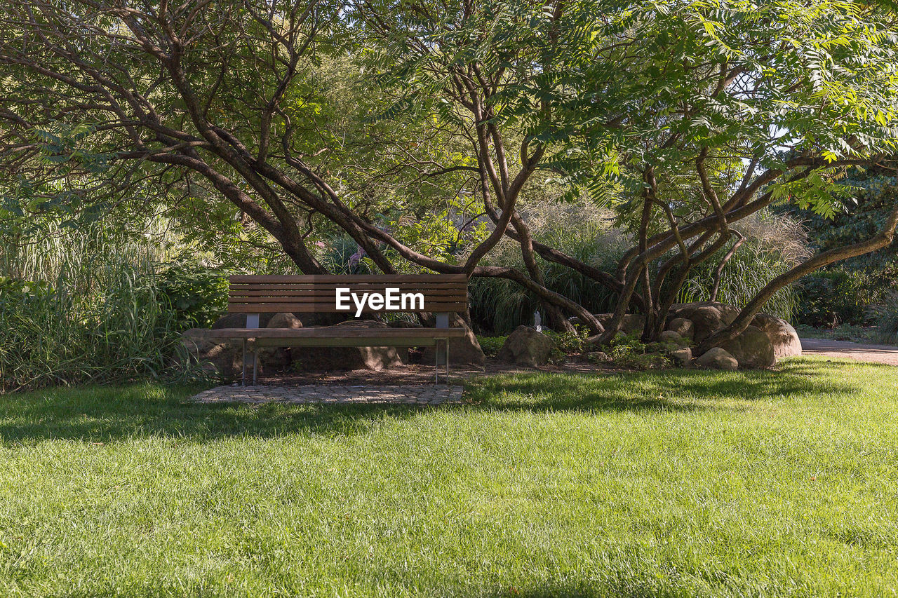 VIEW OF TREES ON LANDSCAPE