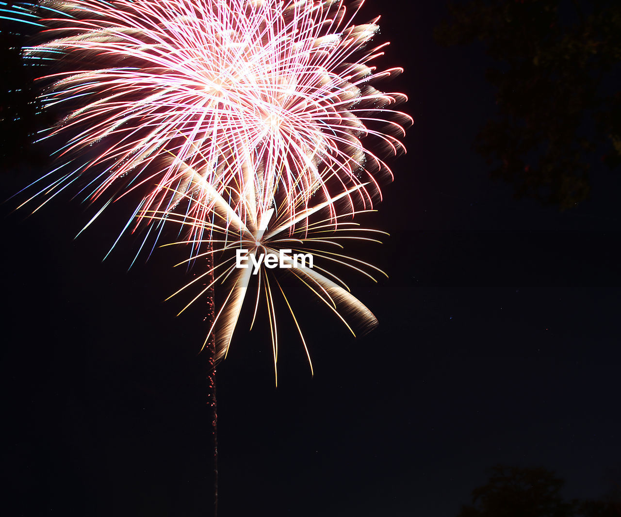 FIREWORK DISPLAY AT NIGHT