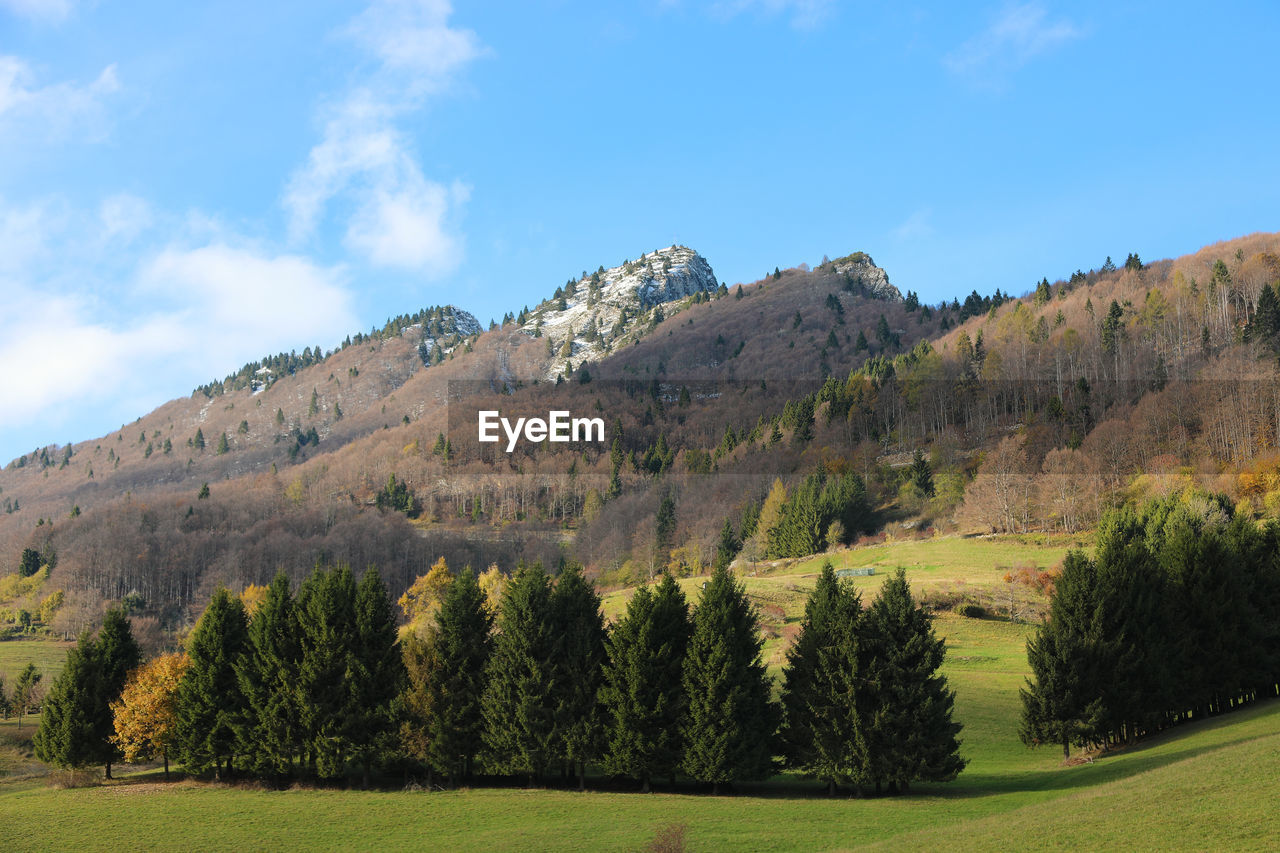 Beautiful alpine panorama with the high mountain 