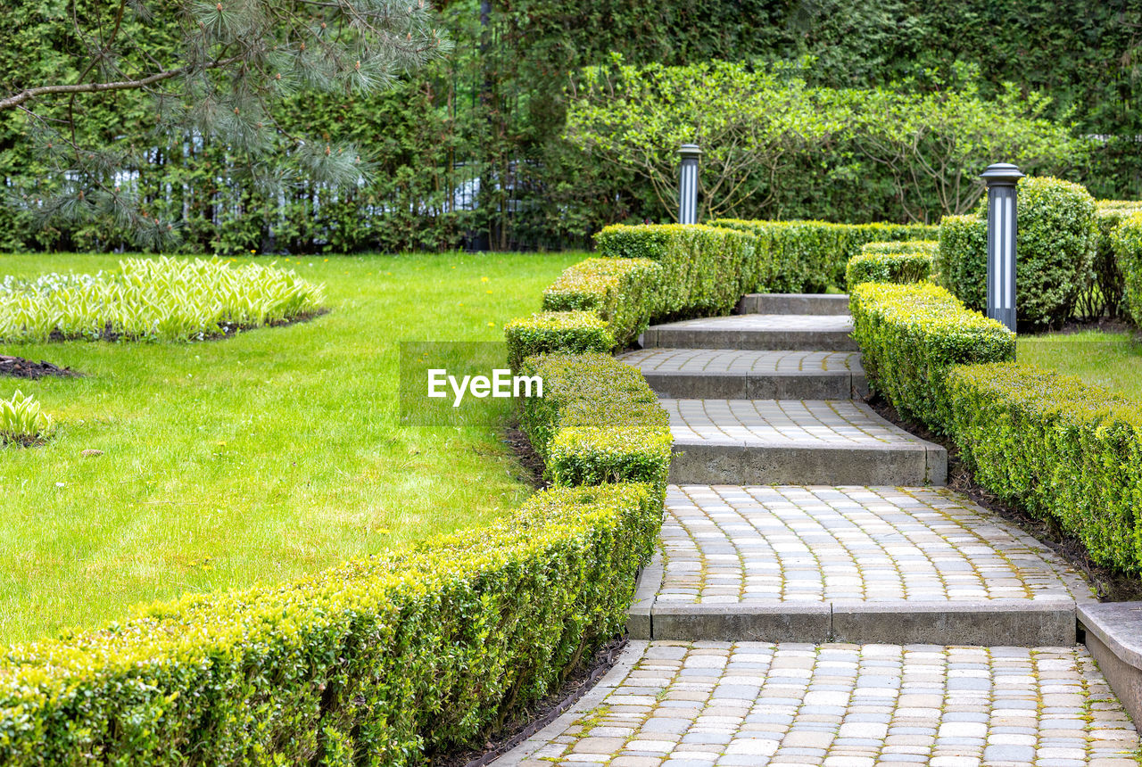 A paved step path passes through a green lawn with a flower bed, framed on both sides by cut bushes.