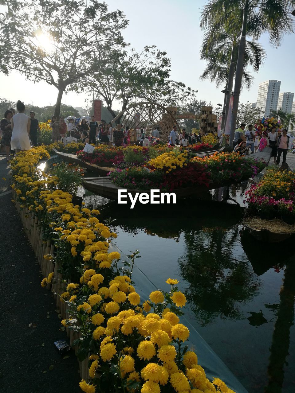 VIEW OF YELLOW FLOWERS AND TREES