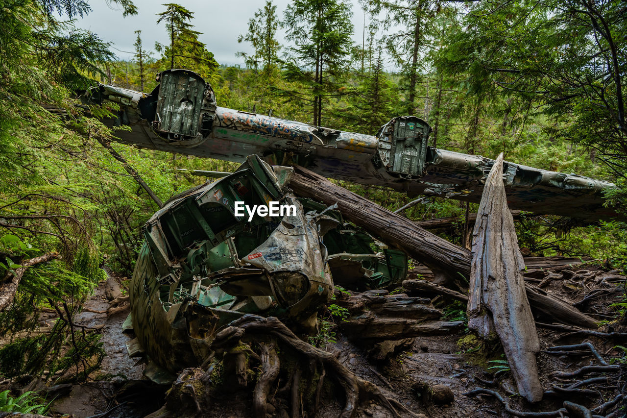 The canso plane crash site