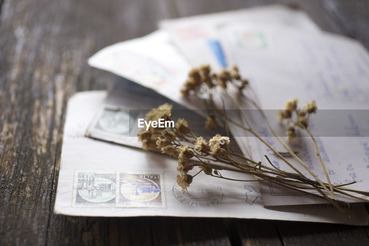 Close-up of dried flowers on mails at wooden table