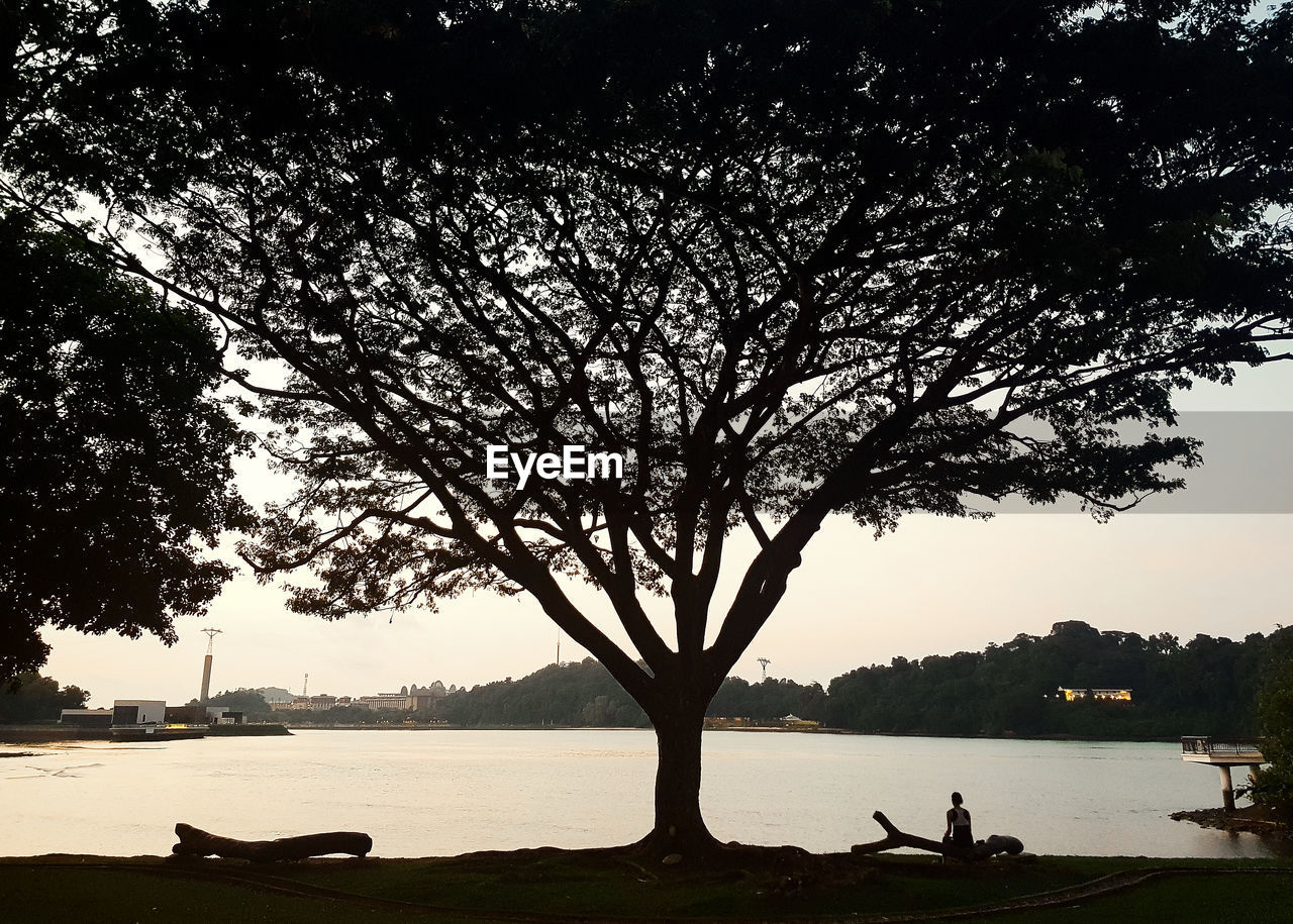 SILHOUETTE TREE ON LAKE AGAINST SKY