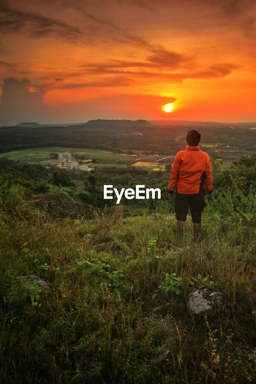 Rear view of man standing amidst plants on mountain against sky during sunset