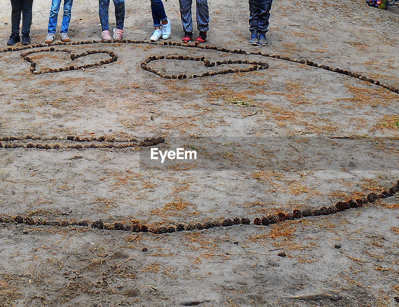 HIGH ANGLE VIEW OF PEOPLE WALKING ON FIELD