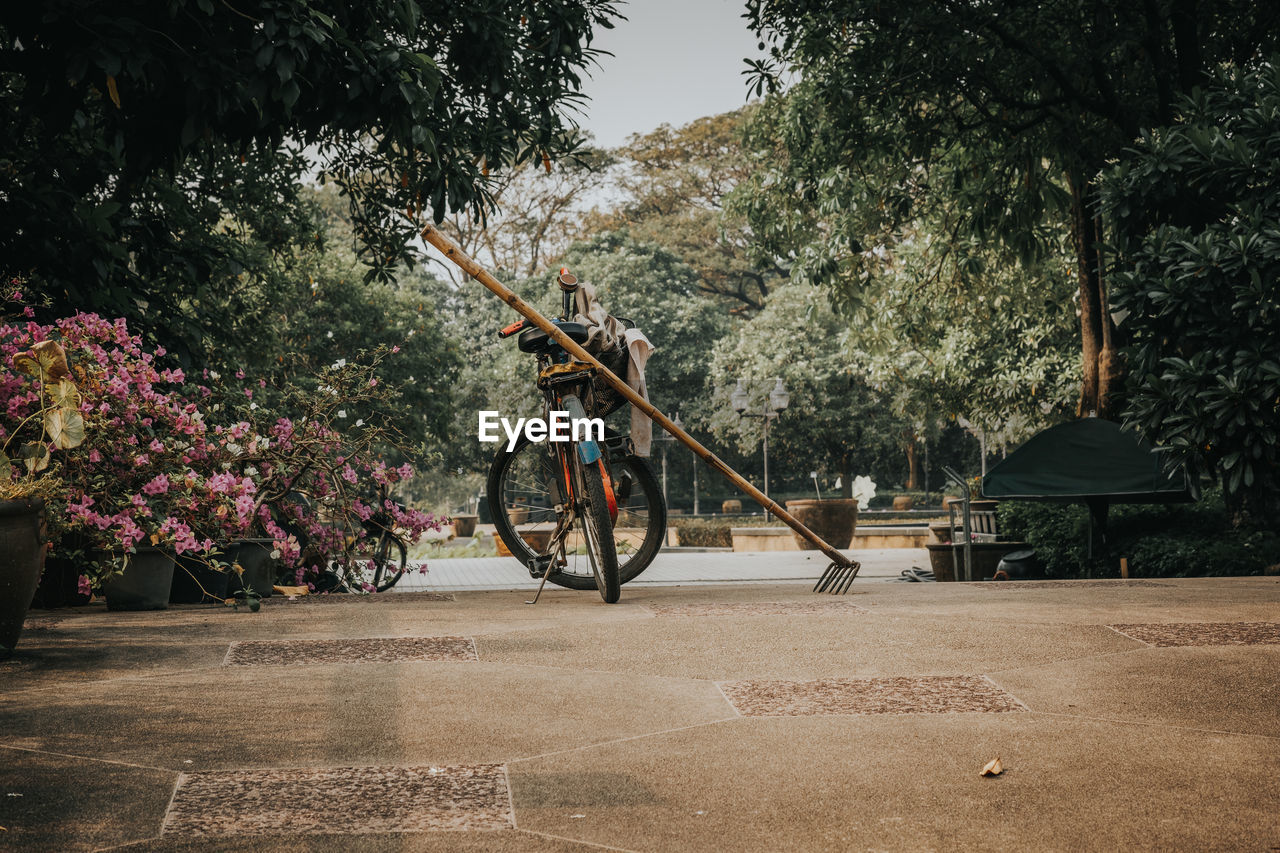 Bicycles parked by trees in park