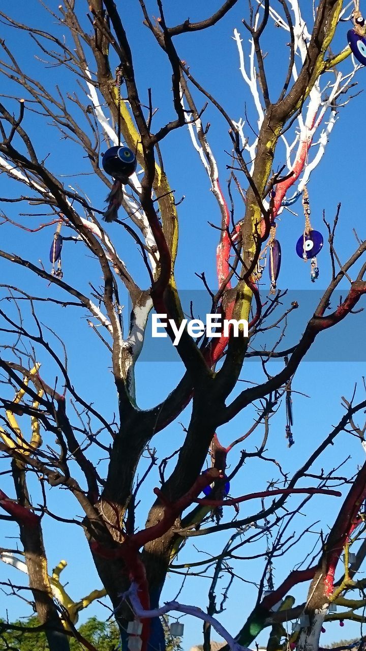 LOW ANGLE VIEW OF TREES AGAINST SKY