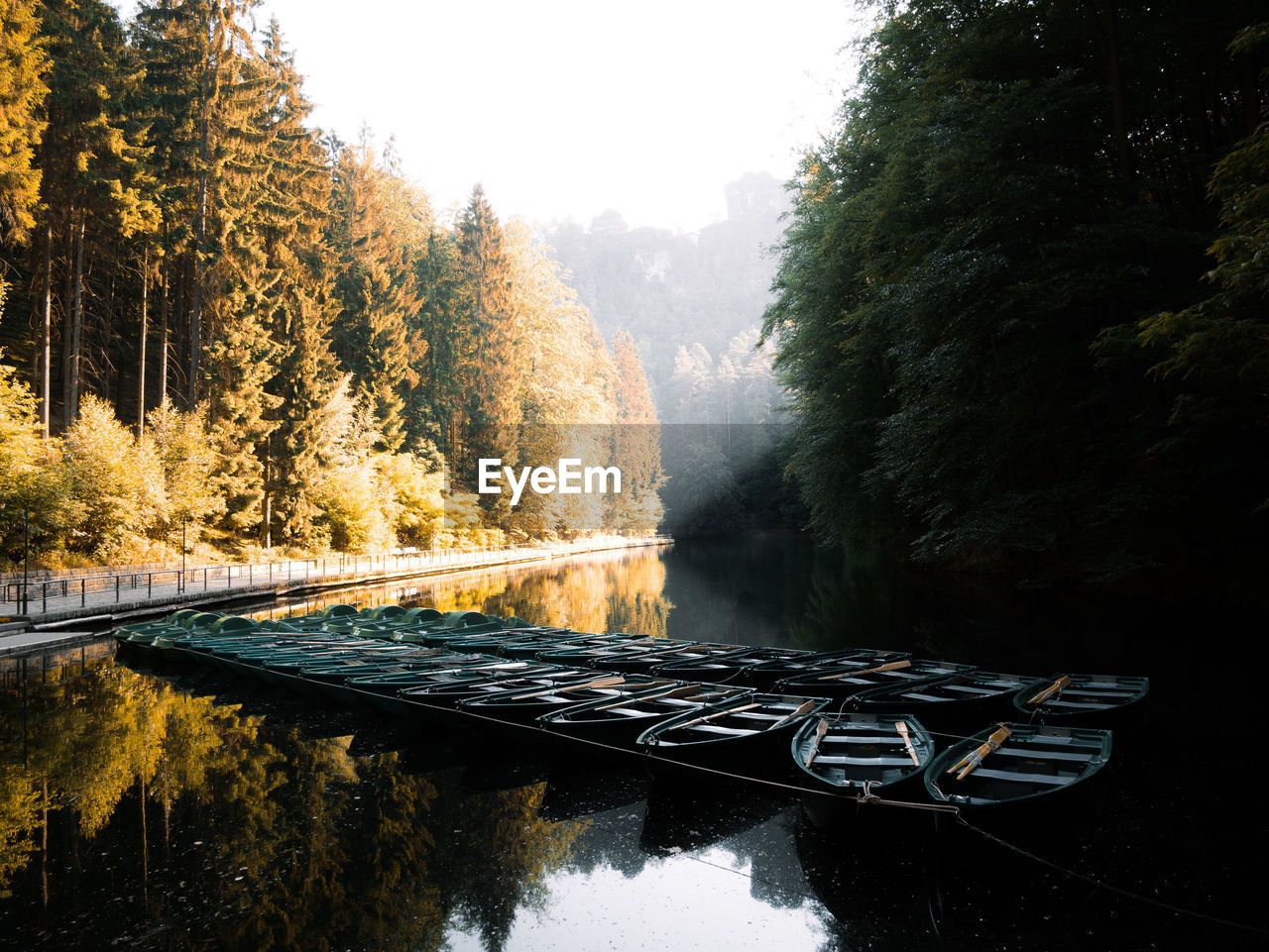 Bridge over river in forest during autumn