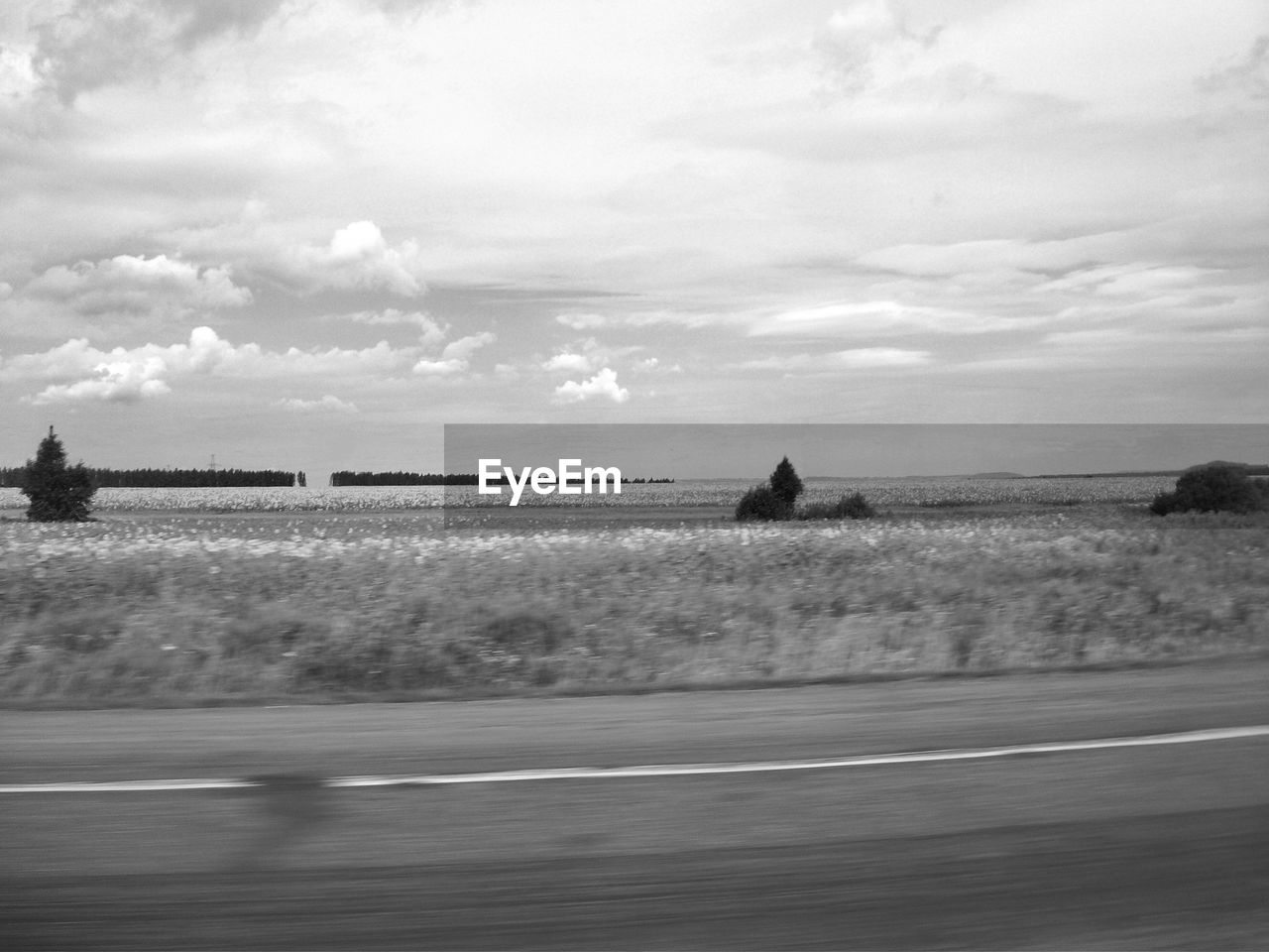 HORSE ON ROAD BY SEA AGAINST SKY