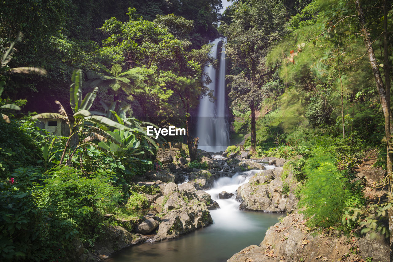 The gitgit waterfall in bali, indonesia