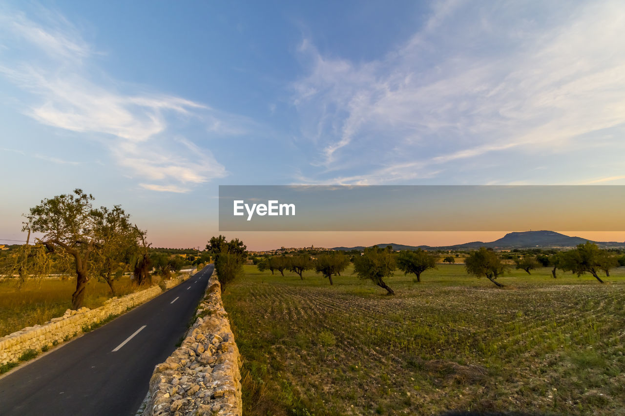 Road amidst landscape against sky