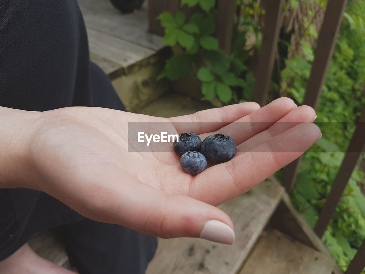 HIGH ANGLE VIEW OF HAND HOLDING FRUITS