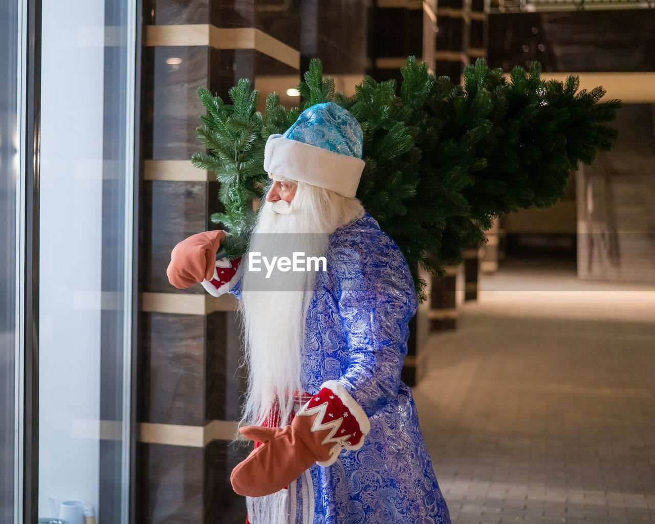 Russian santa claus carries a christmas tree at night outdoors