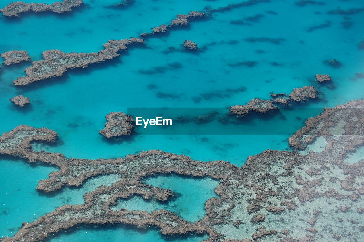 High angle view of coral reef in sea. great barrier reef australia 
