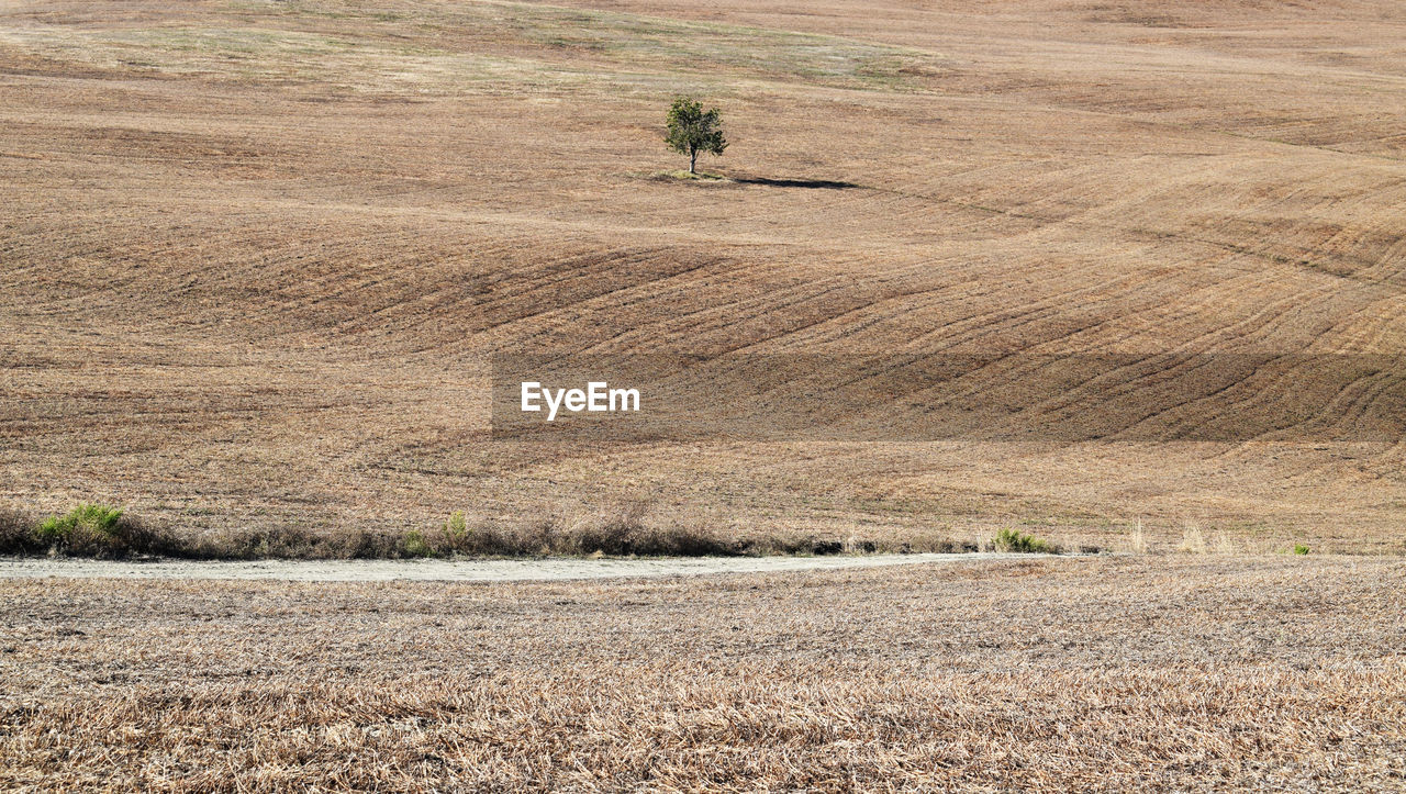 high angle view of agricultural field