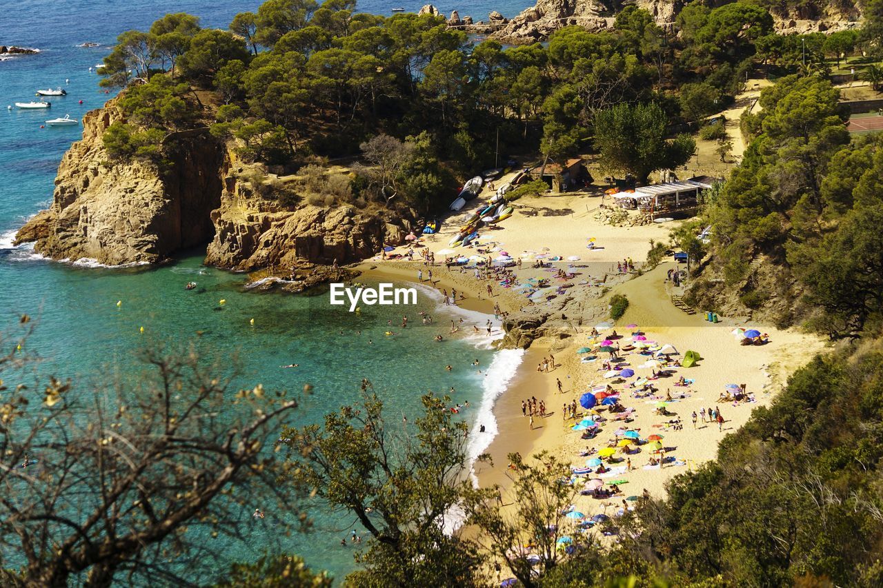 HIGH ANGLE VIEW OF SEA AGAINST TREES