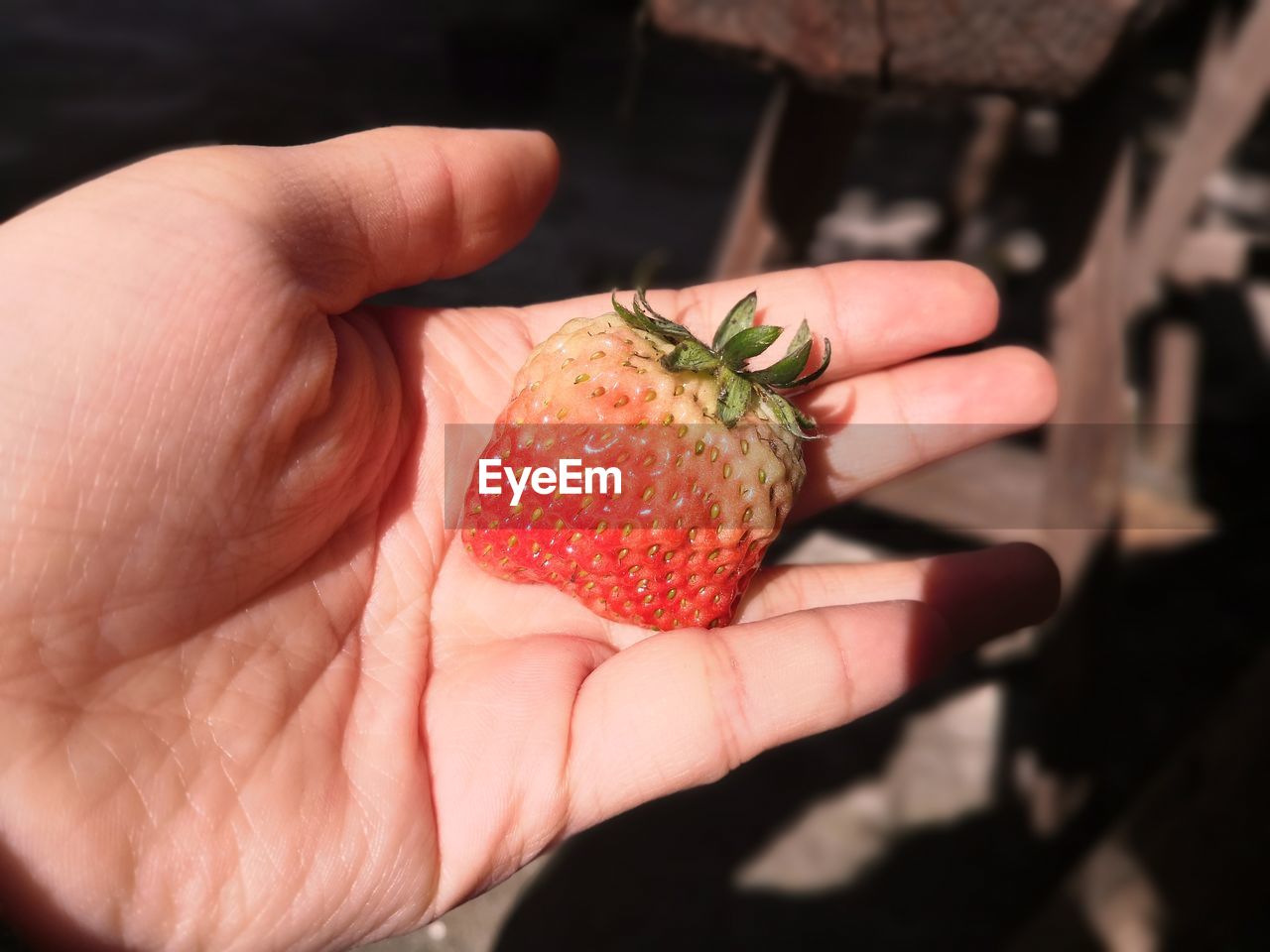 CROPPED IMAGE OF HAND HOLDING STRAWBERRY