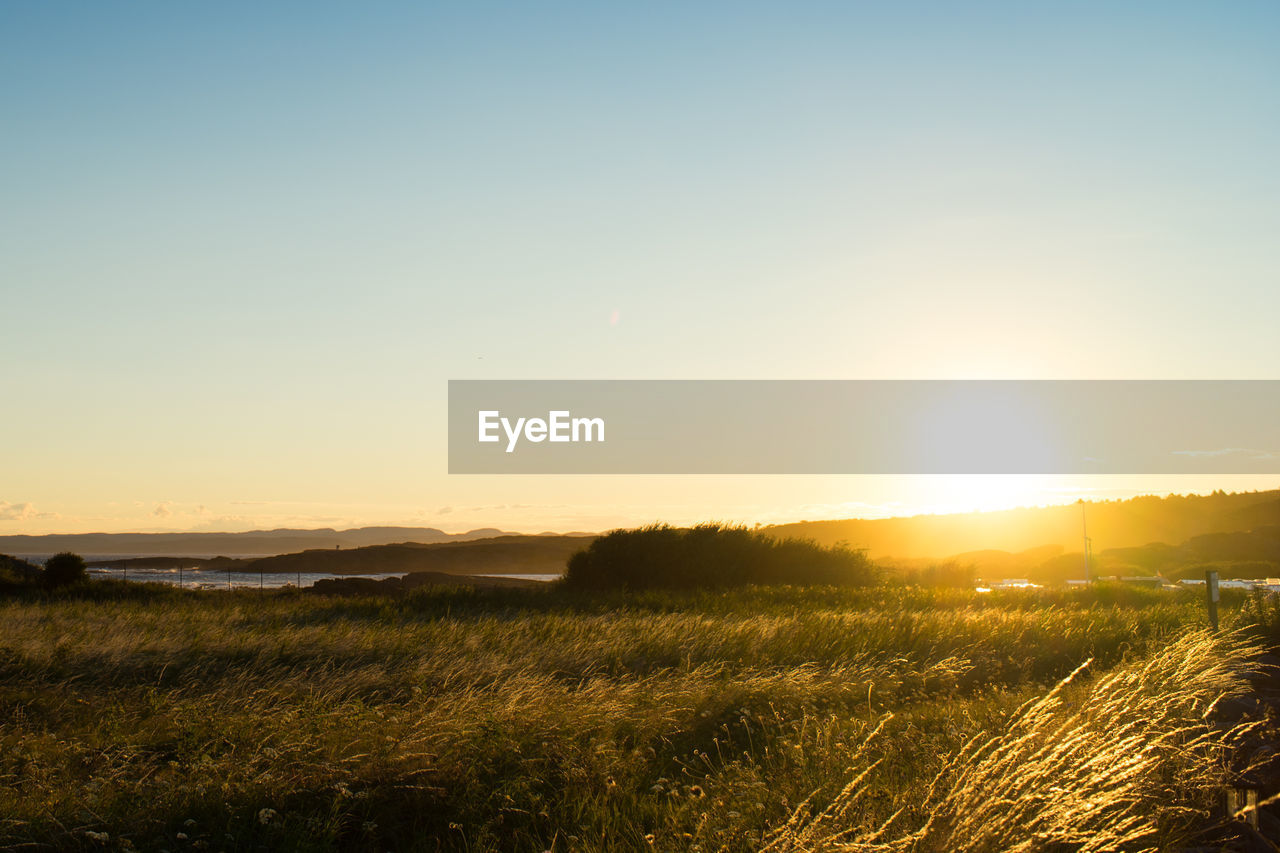 Scenic view of grassy field against clear sky during sunset