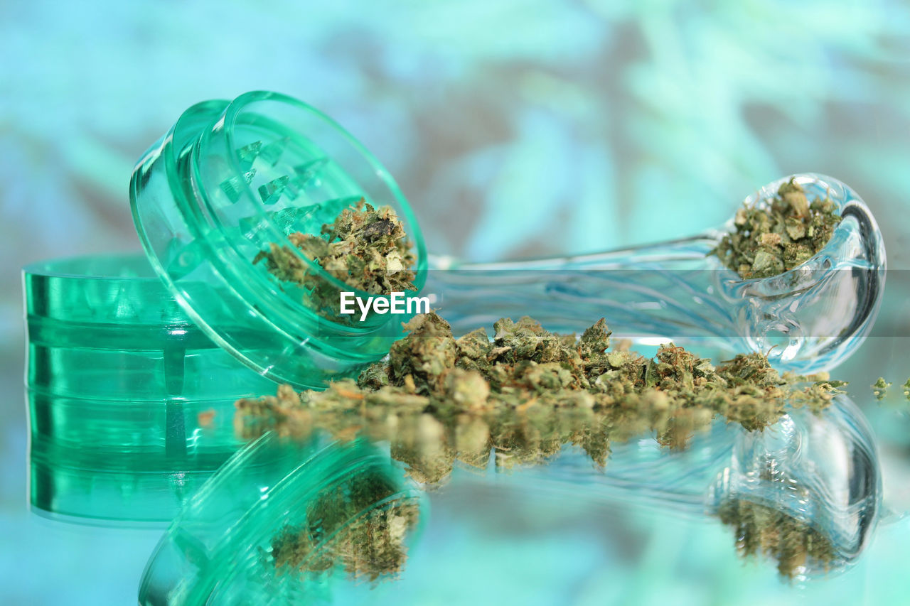 Close-up of cannabis on glass table