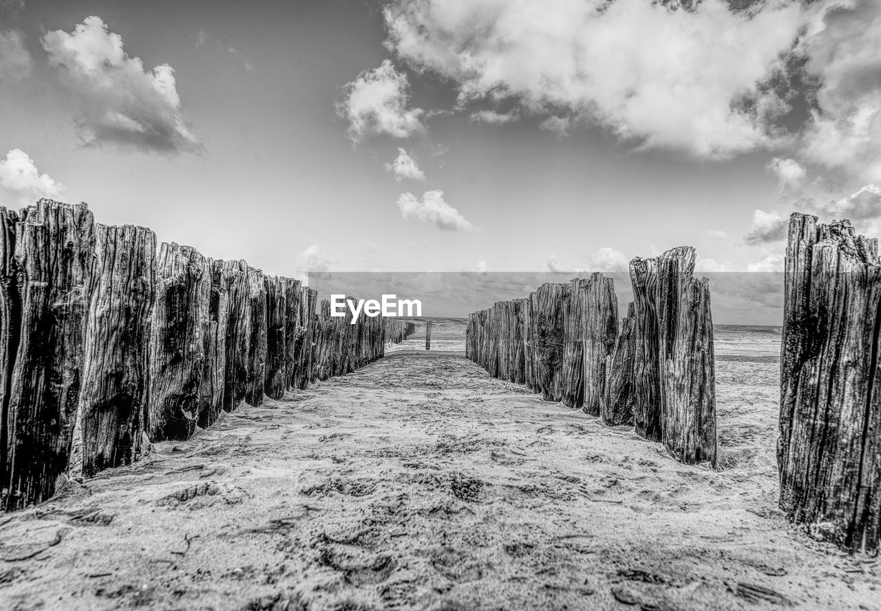 PANORAMIC SHOT OF WOODEN POSTS ALONG PLANTS