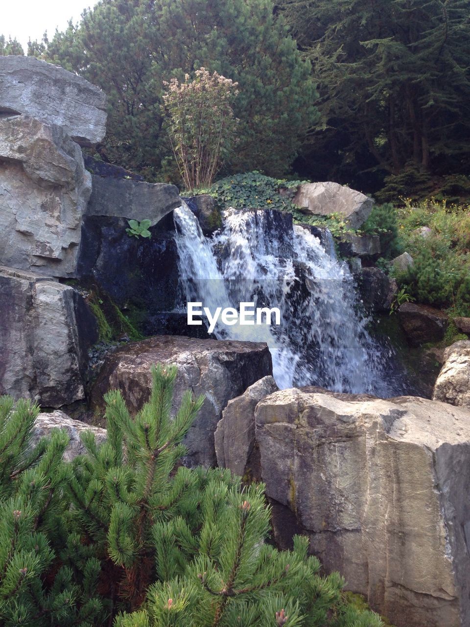 STREAM FLOWING THROUGH ROCKS IN FOREST