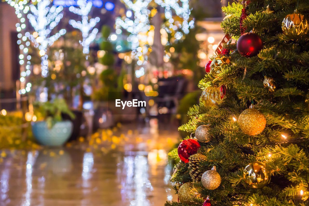 CLOSE-UP OF ILLUMINATED CHRISTMAS TREE ON BRANCH AT NIGHT