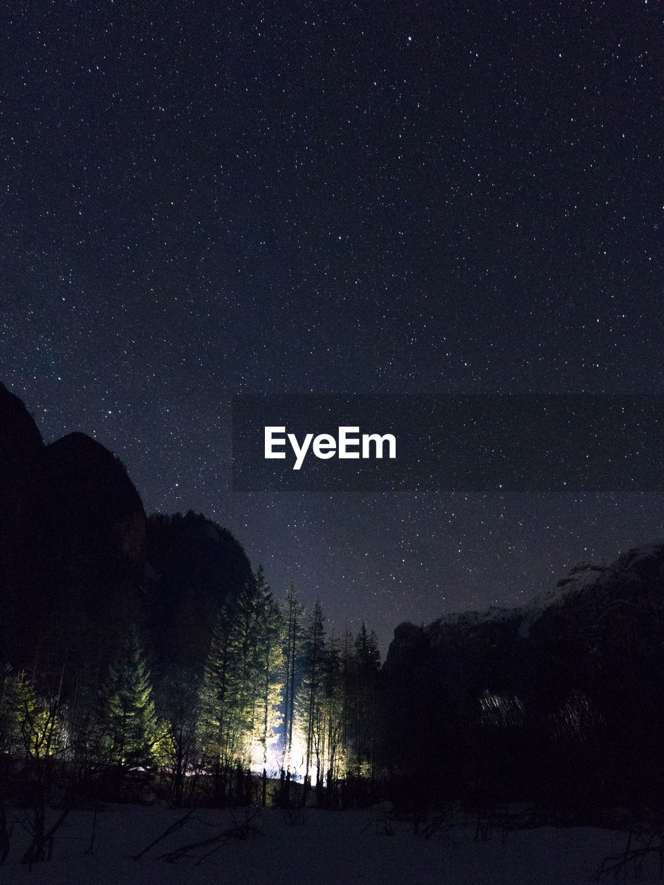 Scenic view of star field over trees against sky at night
