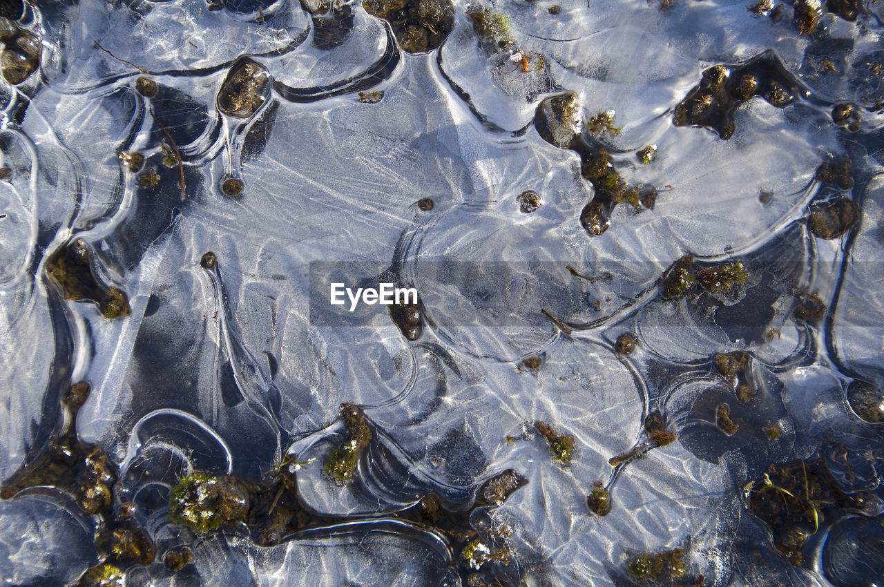 FULL FRAME SHOT OF WATER IN SHALLOW