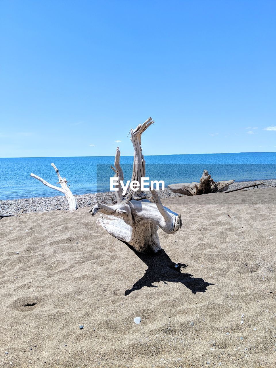 HIGH ANGLE VIEW OF SEAGULLS ON BEACH