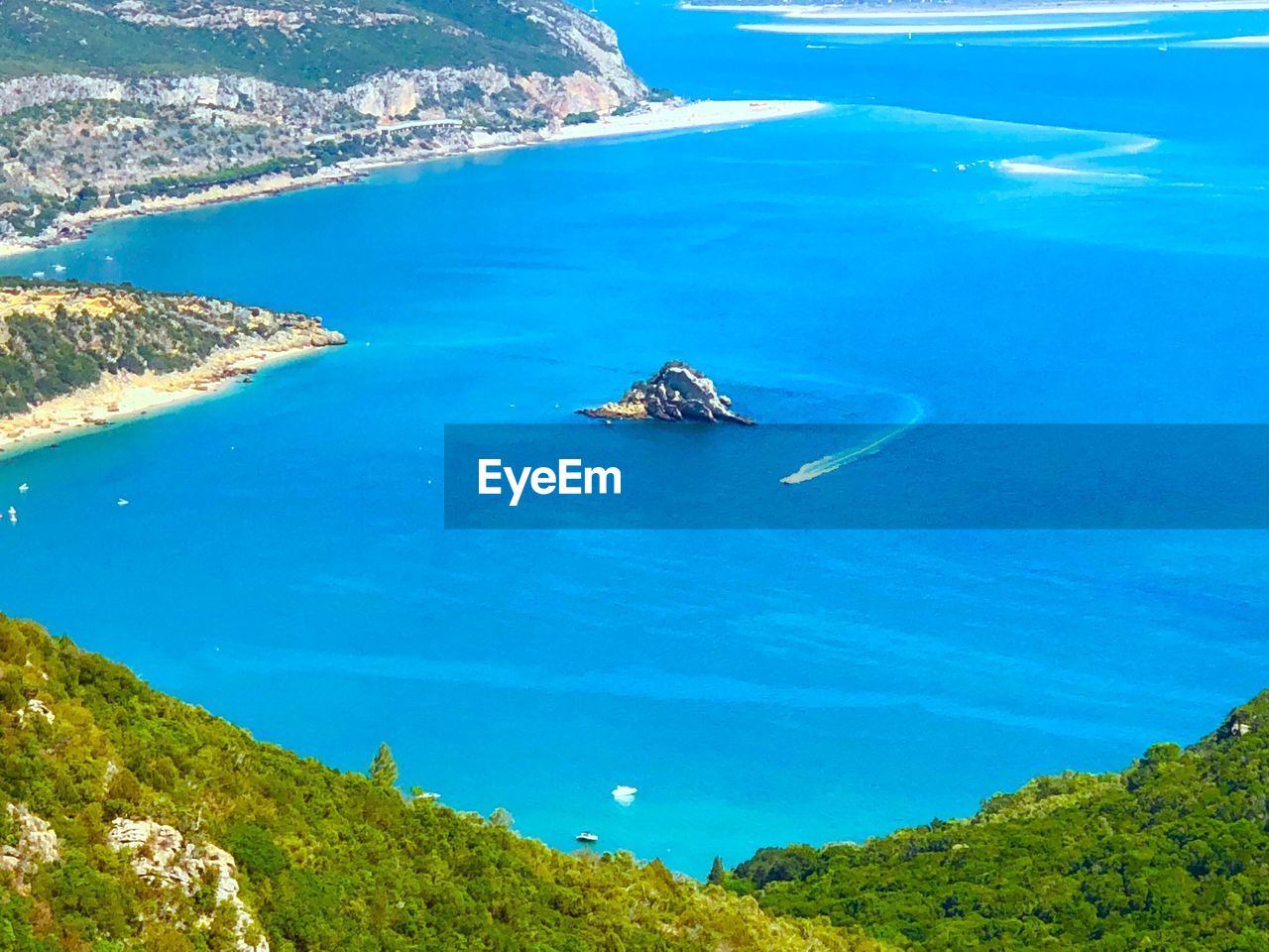 HIGH ANGLE VIEW OF A TURTLE IN SEA