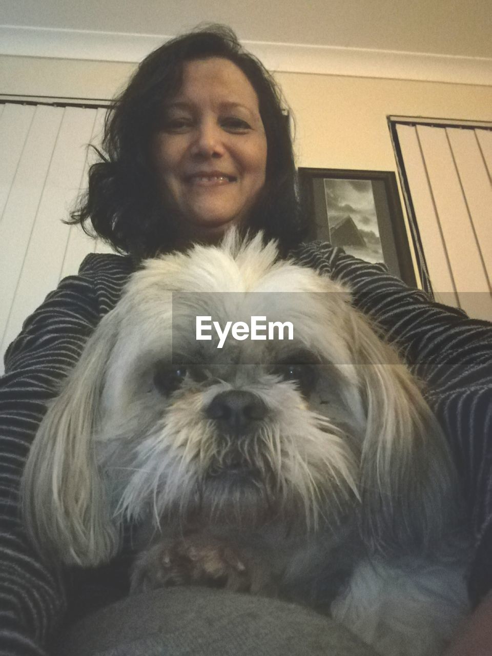 CLOSE-UP PORTRAIT OF DOG AT HOME