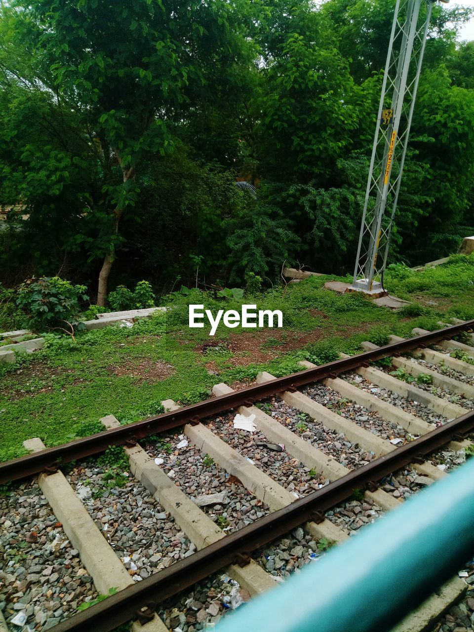 RAILROAD TRACK BY TREES