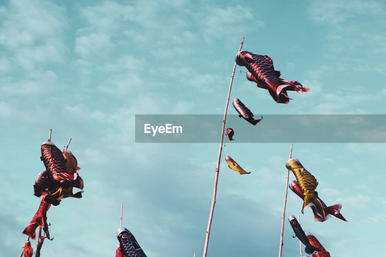 LOW ANGLE VIEW OF A BIRD FLYING IN SKY