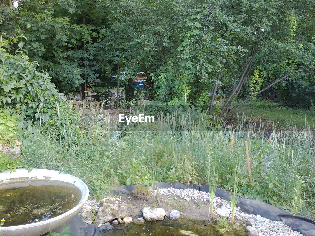 SCENIC VIEW OF LAKE AMIDST TREES IN FOREST