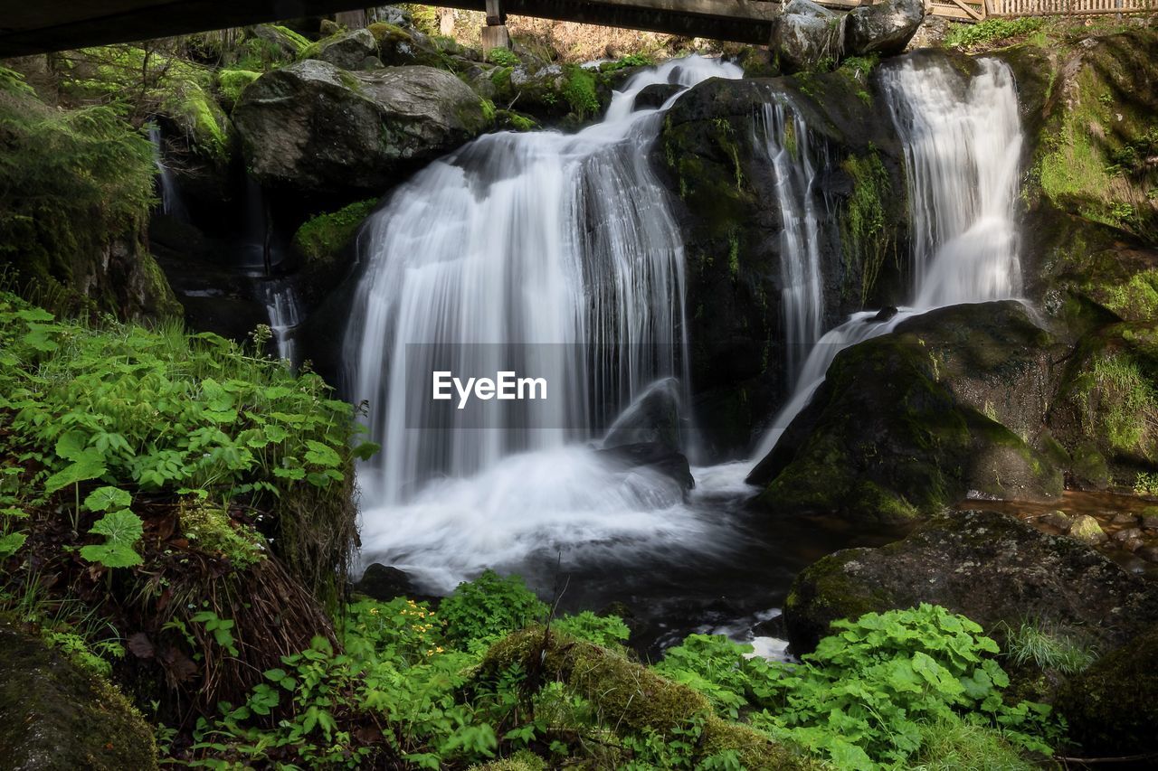 WATERFALL IN FOREST
