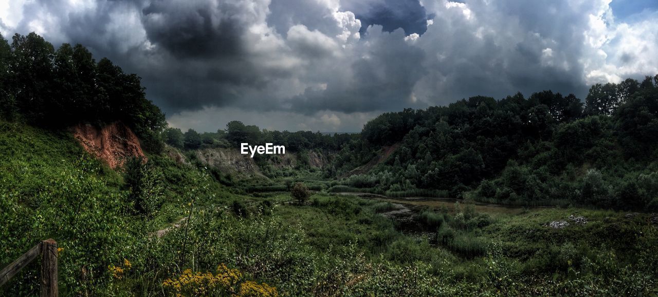 PANORAMIC VIEW OF FIELD AGAINST SKY