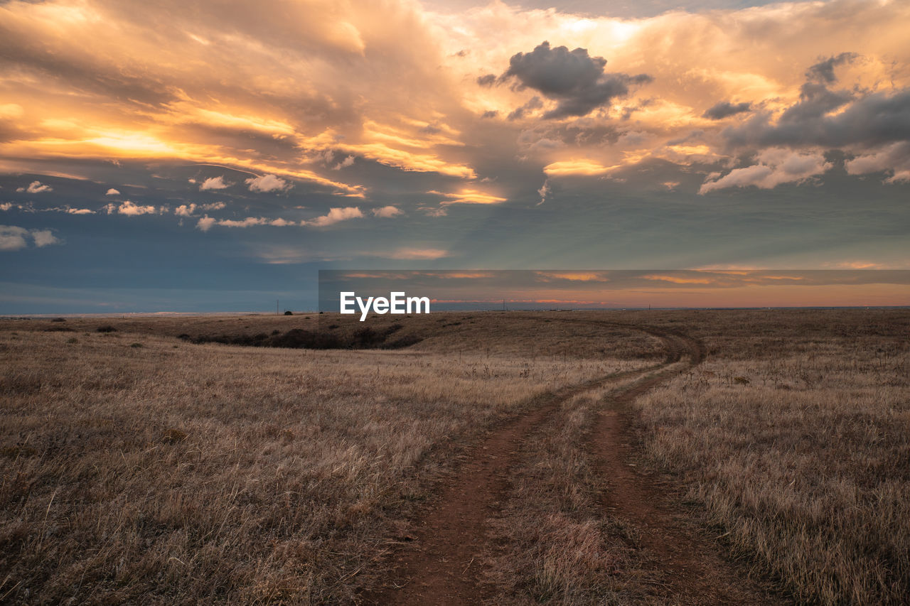 Scenic view of field against sky during sunset