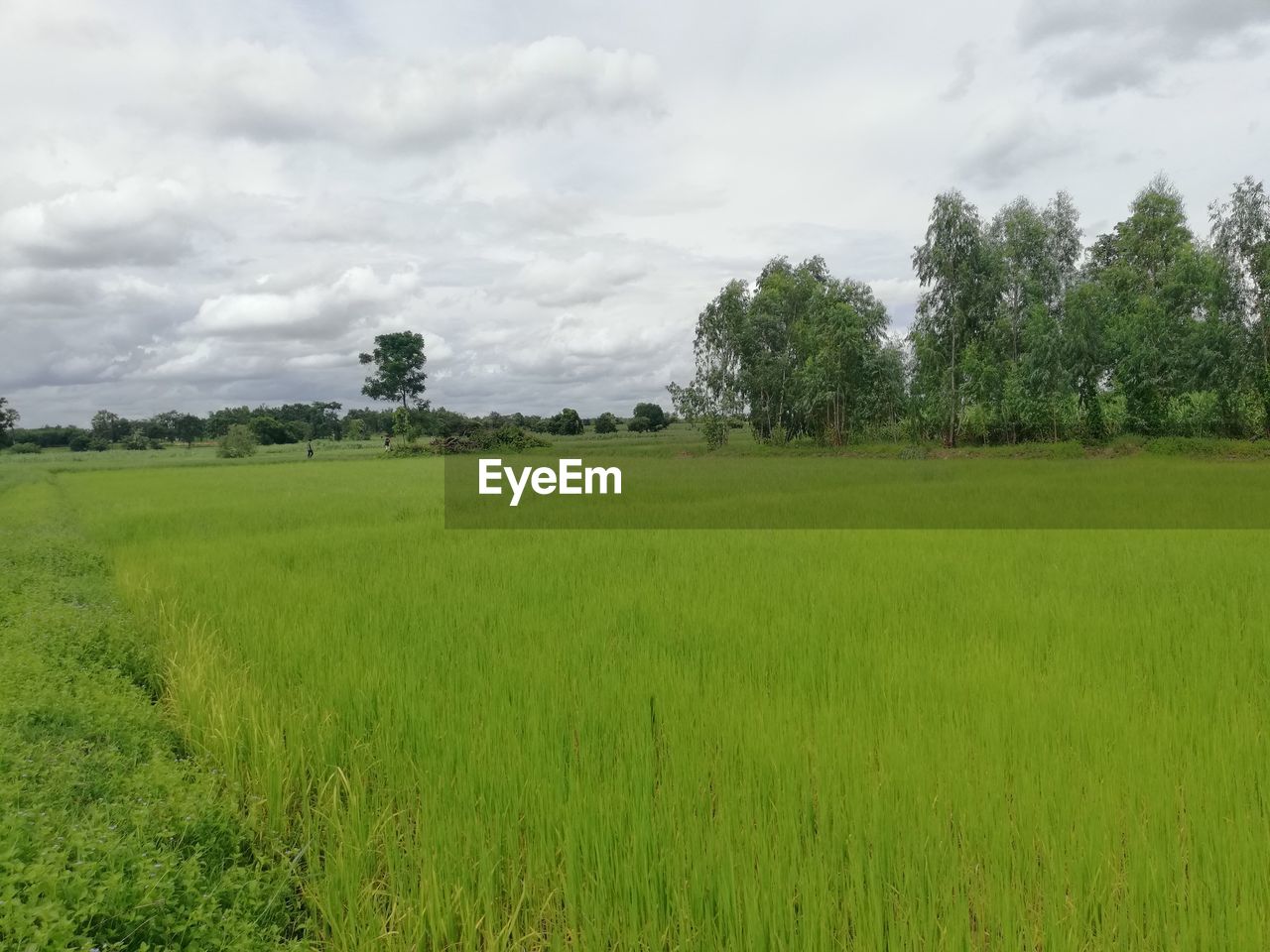 SCENIC VIEW OF LAND AGAINST SKY