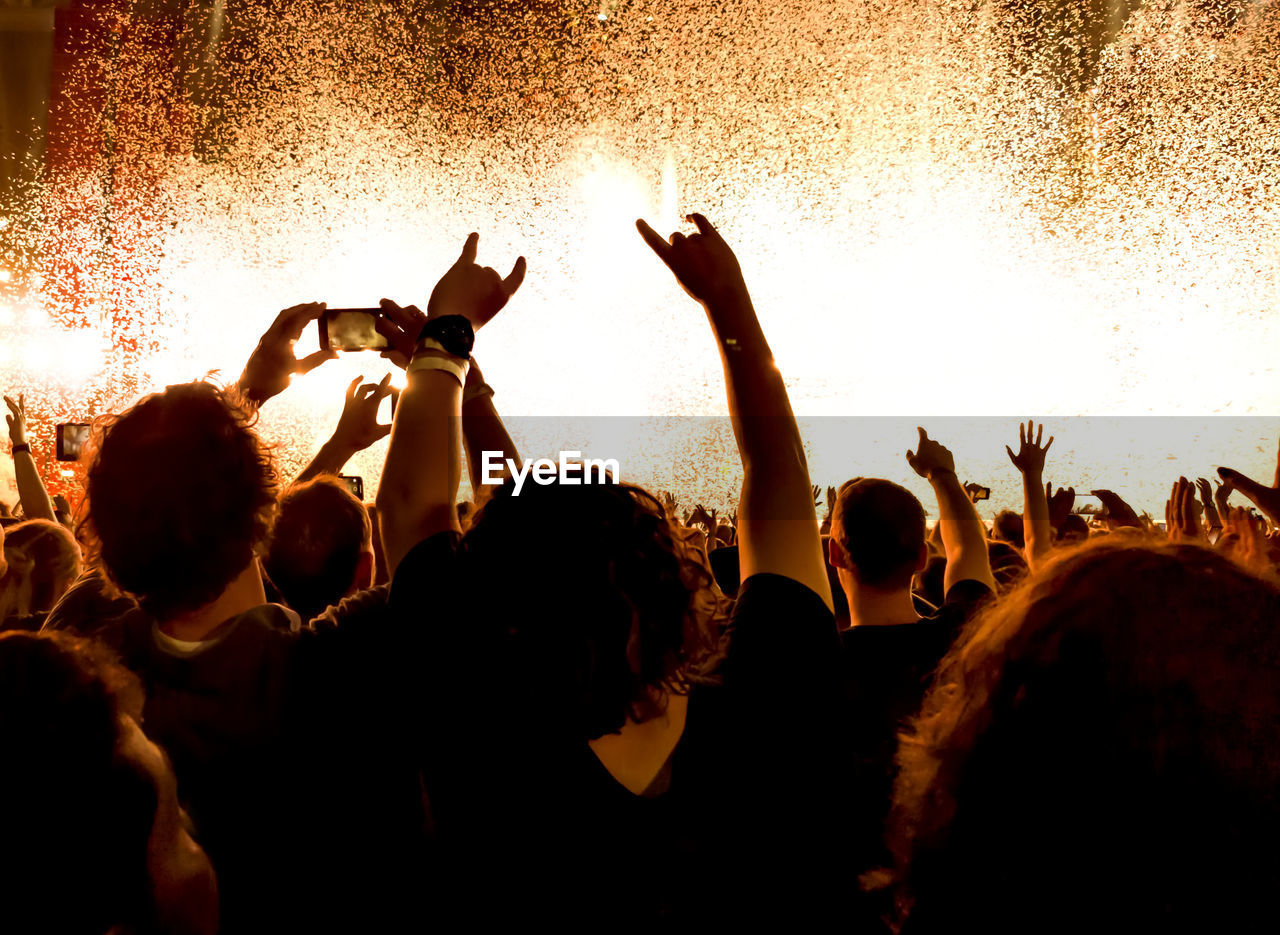 Group of people at music concert