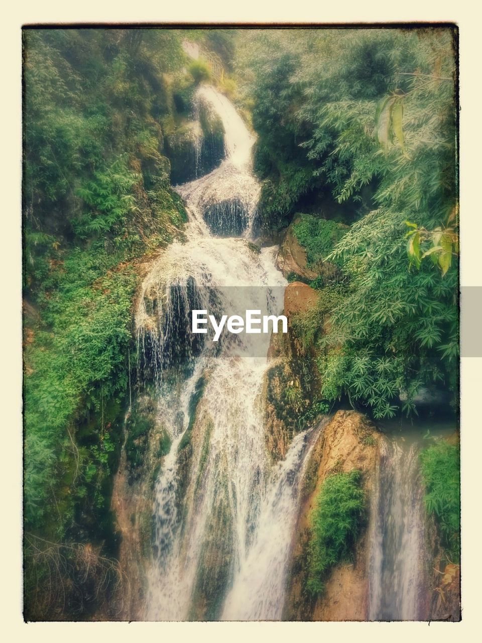 WATERFALL IN FOREST