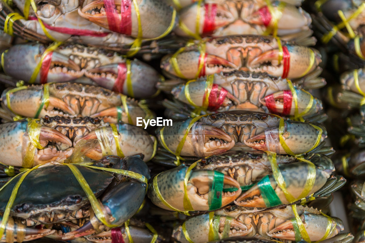 Seafood for sale in market