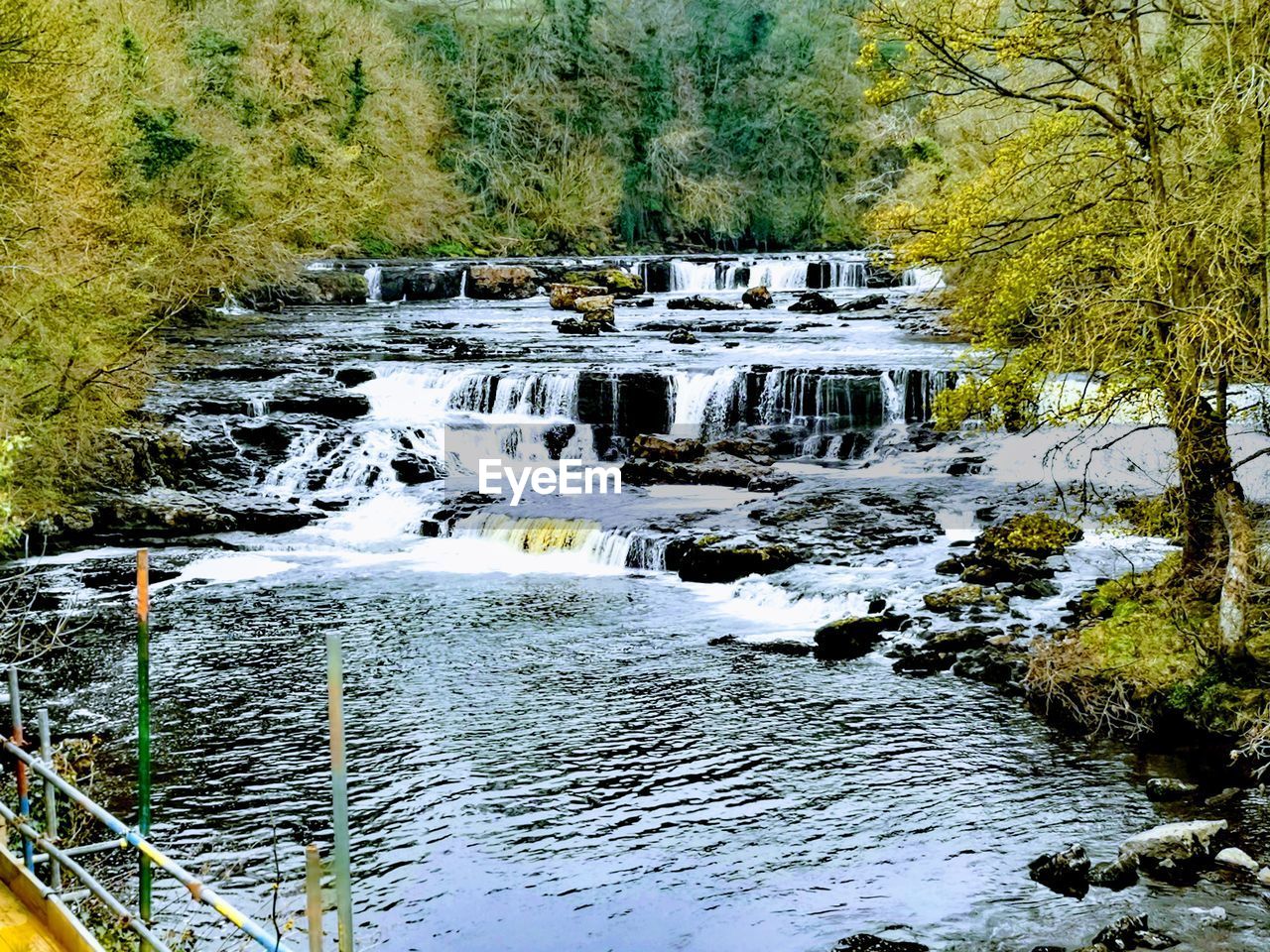 SCENIC VIEW OF RIVER FLOWING THROUGH FOREST