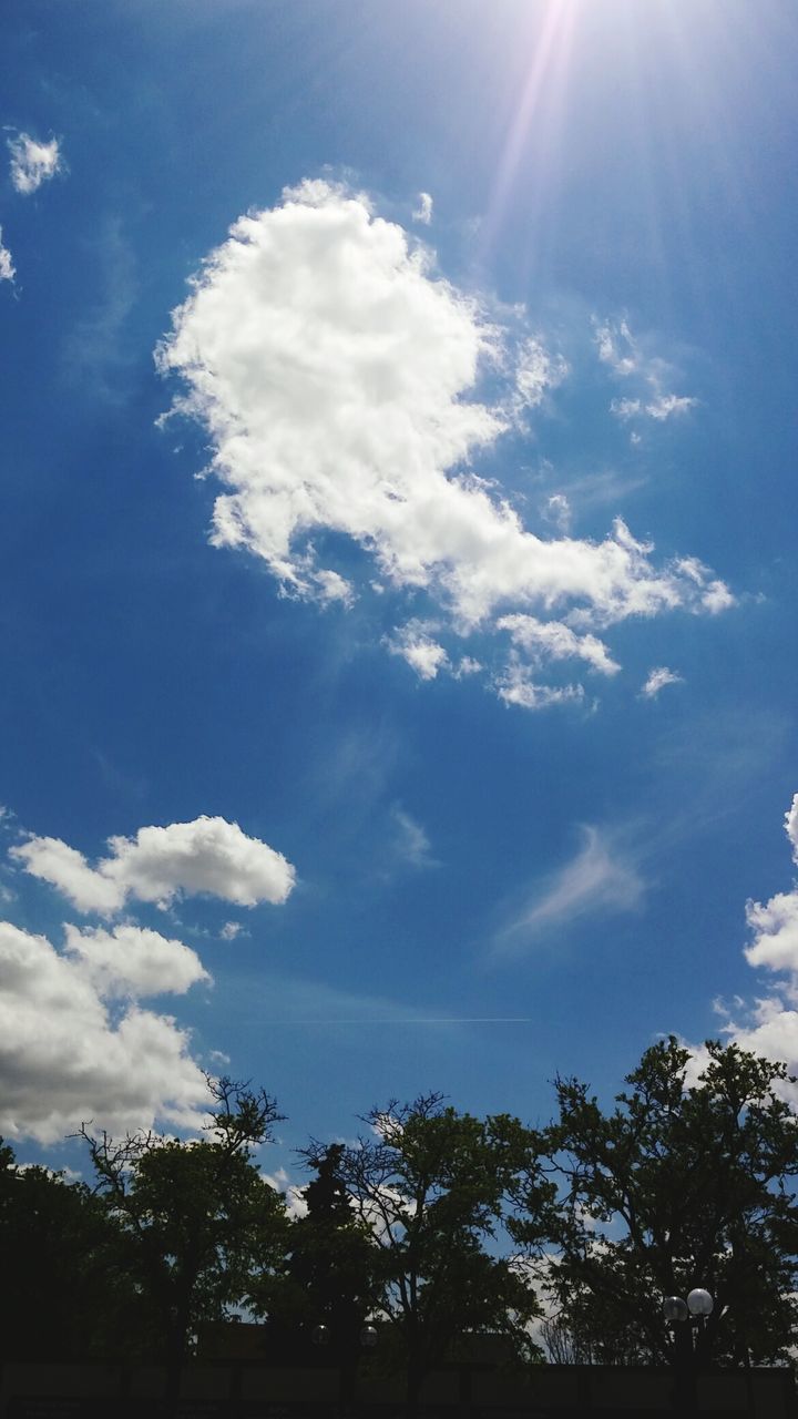 LOW ANGLE VIEW OF TREES AGAINST CLOUDS