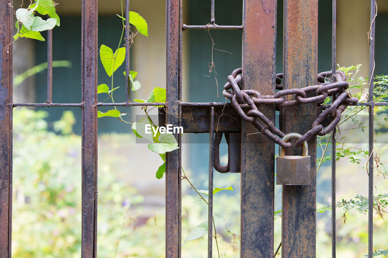 Close-up of rusty chain locked on metallic gate against abandoned building