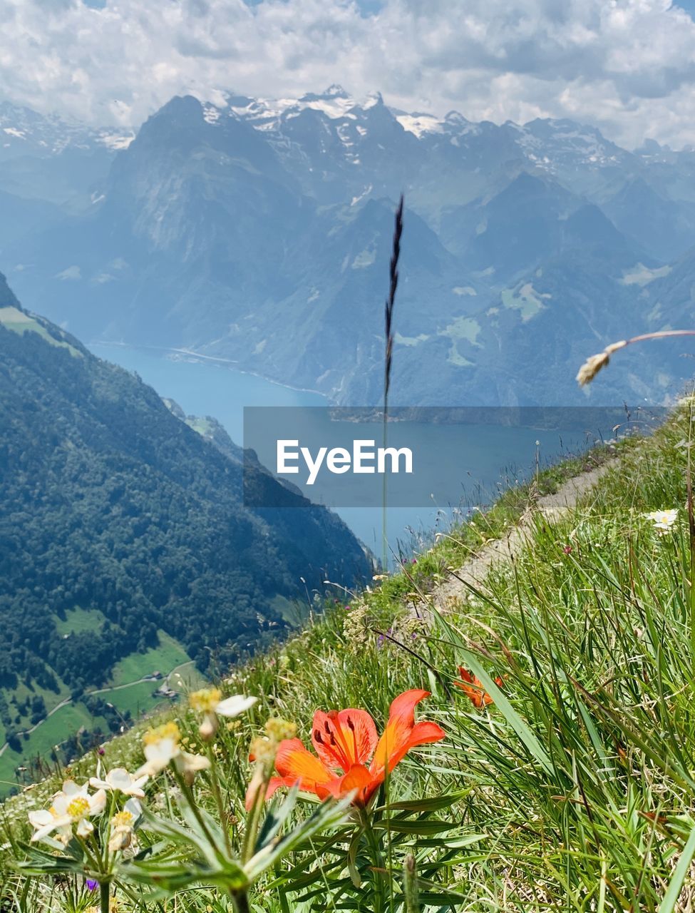 SCENIC VIEW OF SEA AND MOUNTAINS