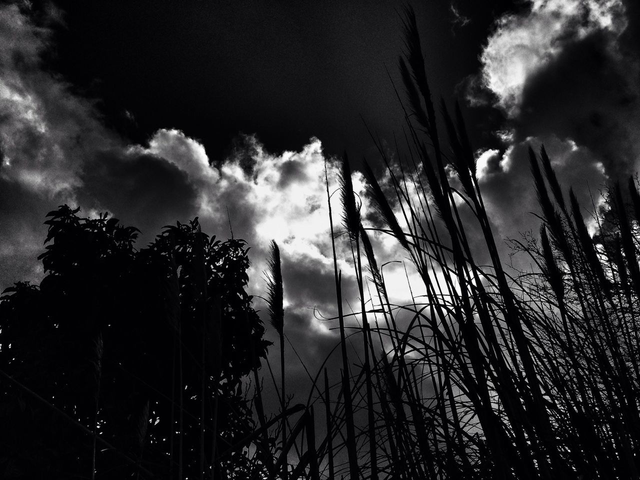 SCENIC VIEW OF LANDSCAPE AGAINST CLOUDY SKY