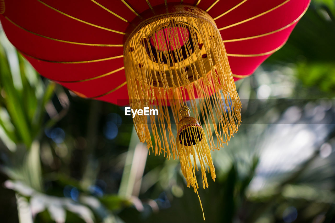 LOW ANGLE VIEW OF DECORATION HANGING IN PLANT