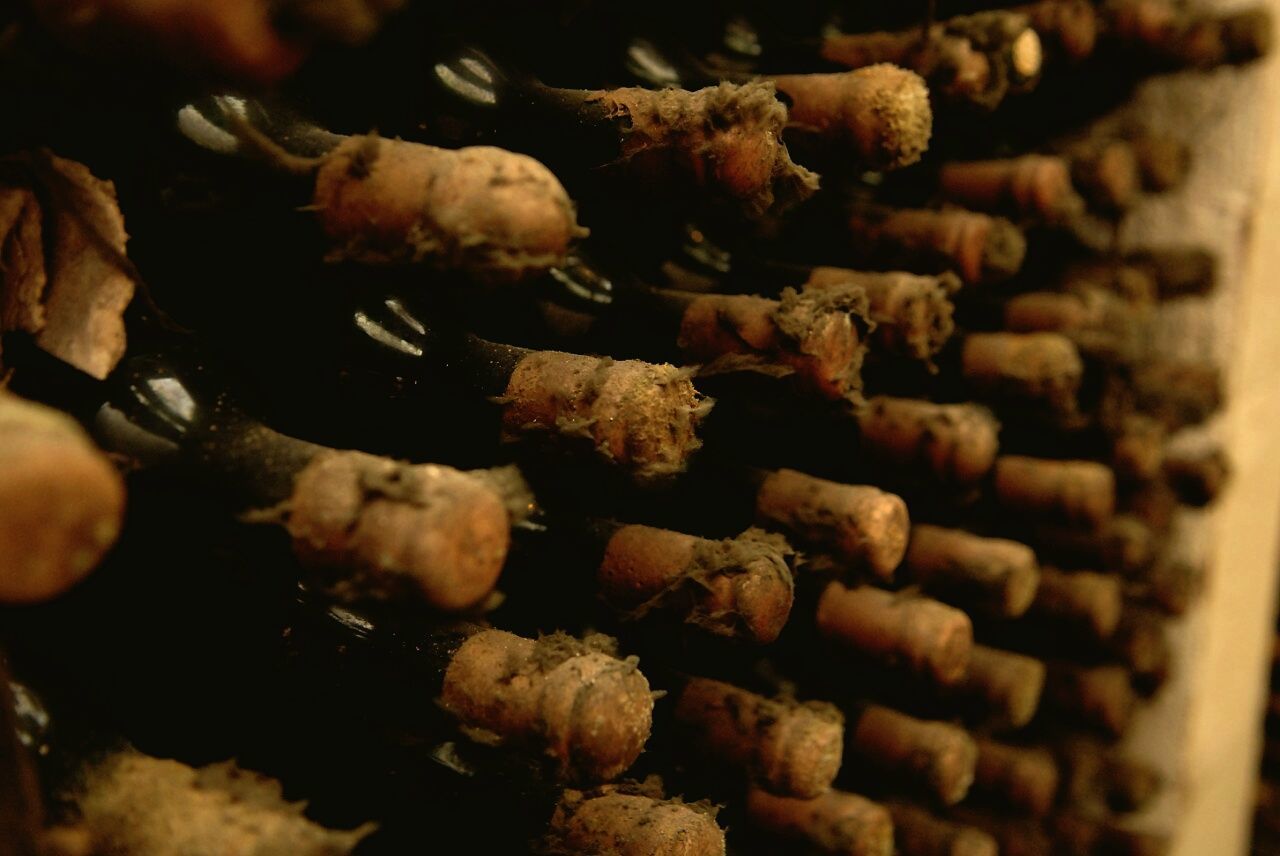 Close-up of dirty wine bottles in cellar